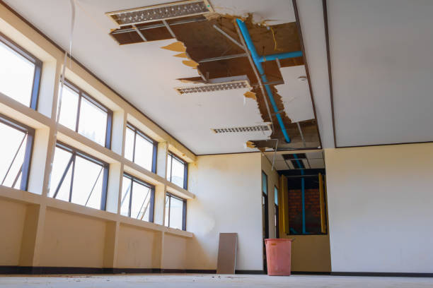 Best Professional water damage repair  in Warren, OR