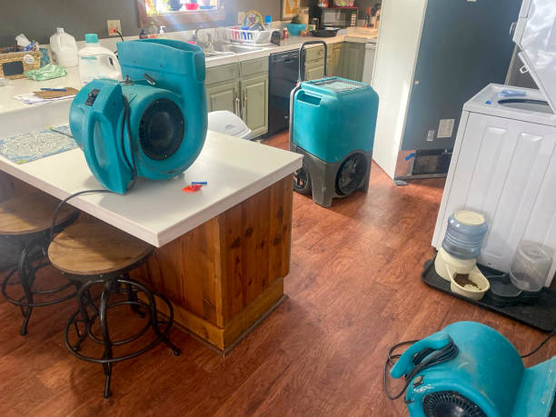 Best Residential water damage restoration  in Warren, OR