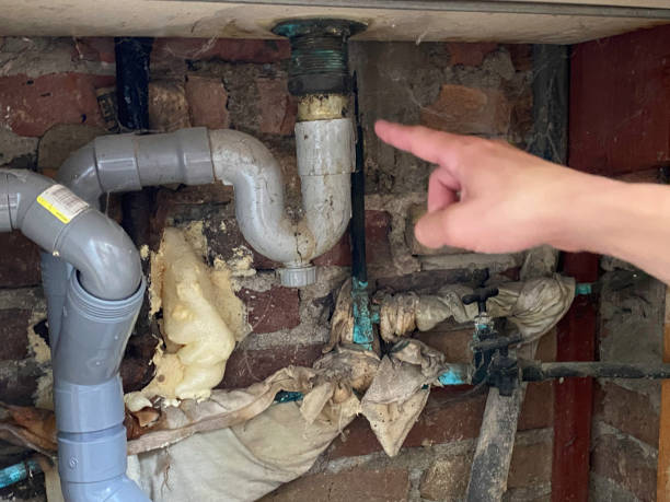 Best Water damage repair service  in Warren, OR