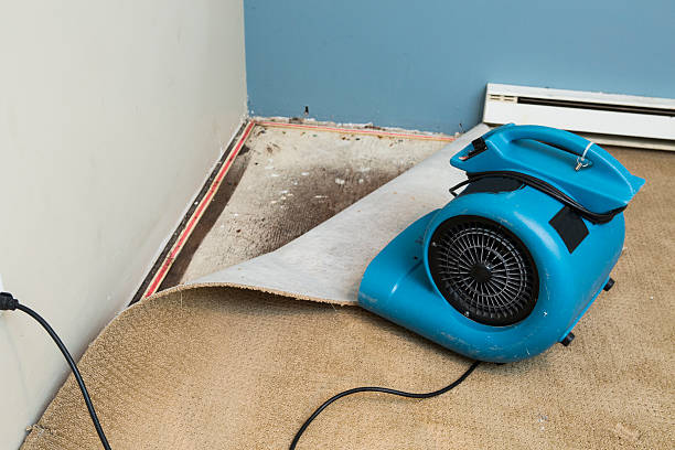 Best Flooded house restoration  in Warren, OR
